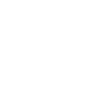 Nico Travel
